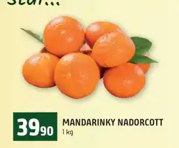 Terno Mandarinky Nadorcott nabídka