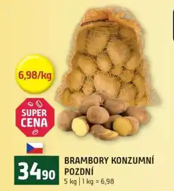 Terno Brambory konzumní pozdní nabídka
