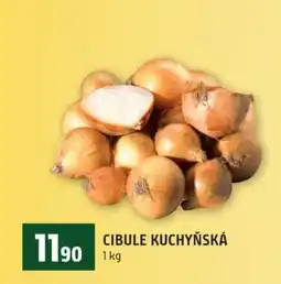 Terno Cibule kuchyňská nabídka