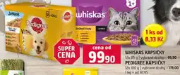 Terno Pedigree kapsičky nabídka