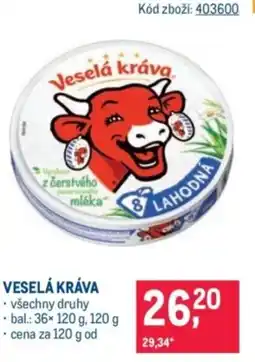 Makro Veselá kráva nabídka