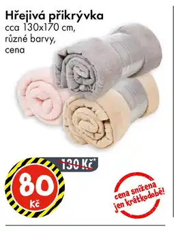TEDi Hřejivá přikrývka nabídka