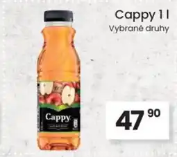 Kubík potraviny Cappy nabídka