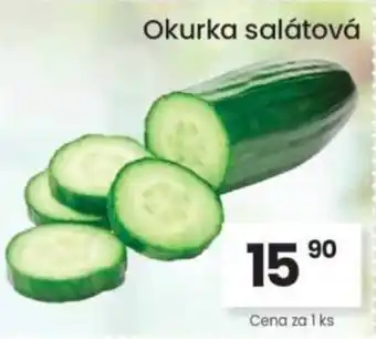 Kubík potraviny Okurka salátová nabídka