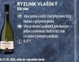 Albert Ryzlink vlašský nabídka