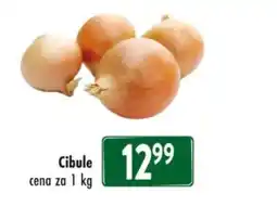 Qanto Cibule nabídka