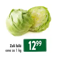 Qanto Zelí bílé nabídka