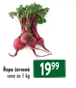 Qanto Řepa červená nabídka