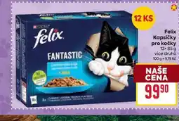 Billa Felix Kapsičky pro kočky 12× 85 g nabídka