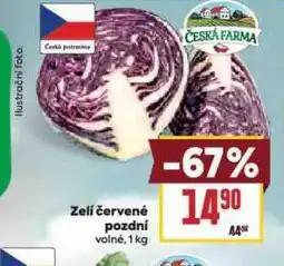 Billa Zelí červené pozdní nabídka