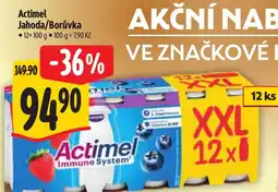 Albert Actimel Jahoda/Borůvka nabídka