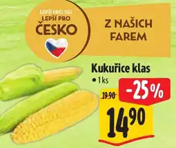 Albert Kukuřice klas nabídka