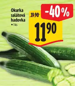 Albert Okurka salátová hadovka nabídka