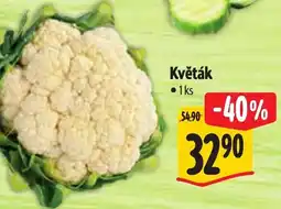Albert Květák nabídka