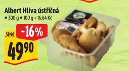 Albert Albert Hlíva ústřičná nabídka
