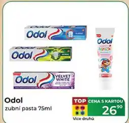 Tamda Foods Odol zubní pasta 75ml nabídka
