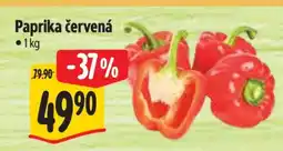 Albert Paprika červená nabídka