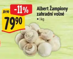 Albert Albert Žampiony zahradní volné nabídka