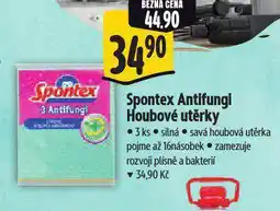 Albert Spontex houbové utěrky nabídka