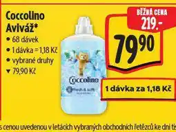 Albert Coccolino aviváž nabídka