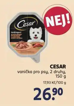 Rossmann Cesar vanička pro psy nabídka