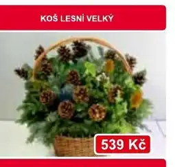 Konzum Koš lesní velký nabídka