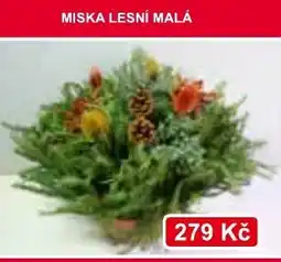 Konzum Miska lesní malá nabídka