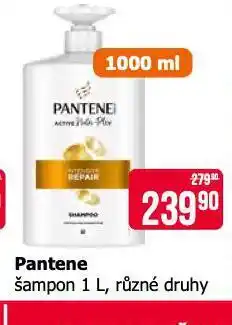 Teta Pantene šampon nabídka