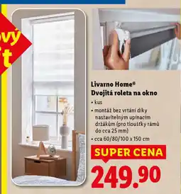 Lidl Livarno HomeⓇ Dvojitá roleta na okno nabídka