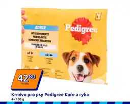 Action Krmivo pro psy Pedigree Kuře a ryba nabídka