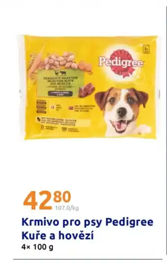 Action Krmivo pro psy Pedigree Kuře a hovězí nabídka