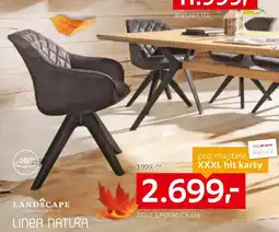 XXXLutz Židle s područkami nabídka