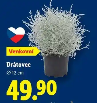 Lidl DRÁTOVEC nabídka