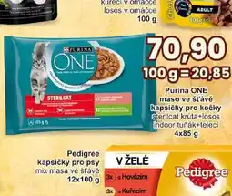 Jip Purina ONE maso ve šťávě kapsičky pro kočky 4x85g nabídka