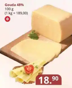 Potraviny CZ Gouda 48% nabídka