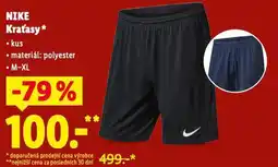Lidl Nike kraťasy nabídka