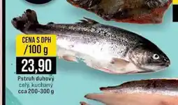 Jip Pstruh duhový celý, kuchaný 100 g nabídka