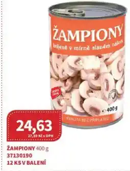Kubík potraviny Žampiony nabídka