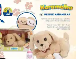 Sparkys Pejsek karamelka nabídka