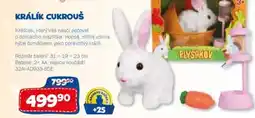Sparkys Králík cukrouš nabídka