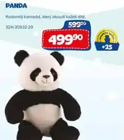 Sparkys Panda nabídka