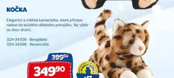 Sparkys Kočka nabídka