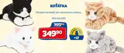 Sparkys Koťátka nabídka