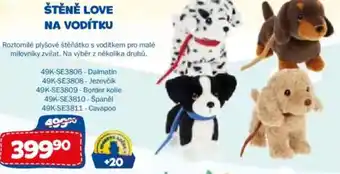 Sparkys Štěně love na vodítku nabídka