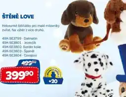 Sparkys Štěně love nabídka