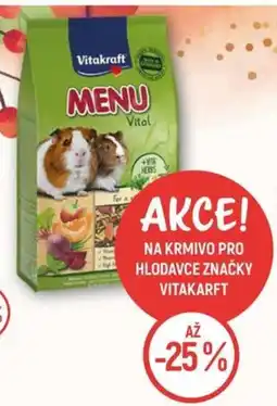Globus Na krmivo pro hlodavce značky Vitakarft nabídka