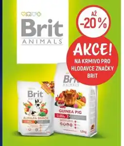 Globus Na krmivo pro hlodavce značky Brit nabídka