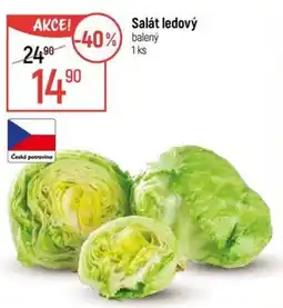 Globus Salát ledový nabídka