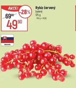 Globus Rybíz červený nabídka