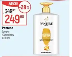 Globus PANTENE šampon nabídka